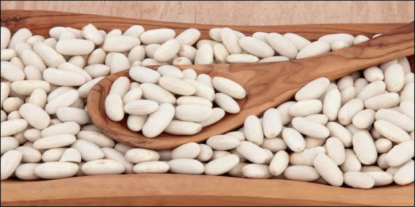 White kidney beans